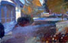 Front Yard 1984 15x30a